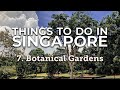 Things to do in Singapore: Botanical Gardens  | Travel Vlog Part 7