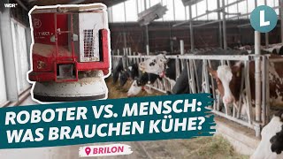 Personalmangel: Automatisierter Stall als Lösung? - Sauerlandmilch GbR | WDR Lokalzeit Land.Schafft.