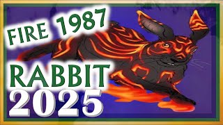 Rabbit Horoscope 2025 | Fire Rabbit 1987 | January 29, 1987 to February 16, 1988