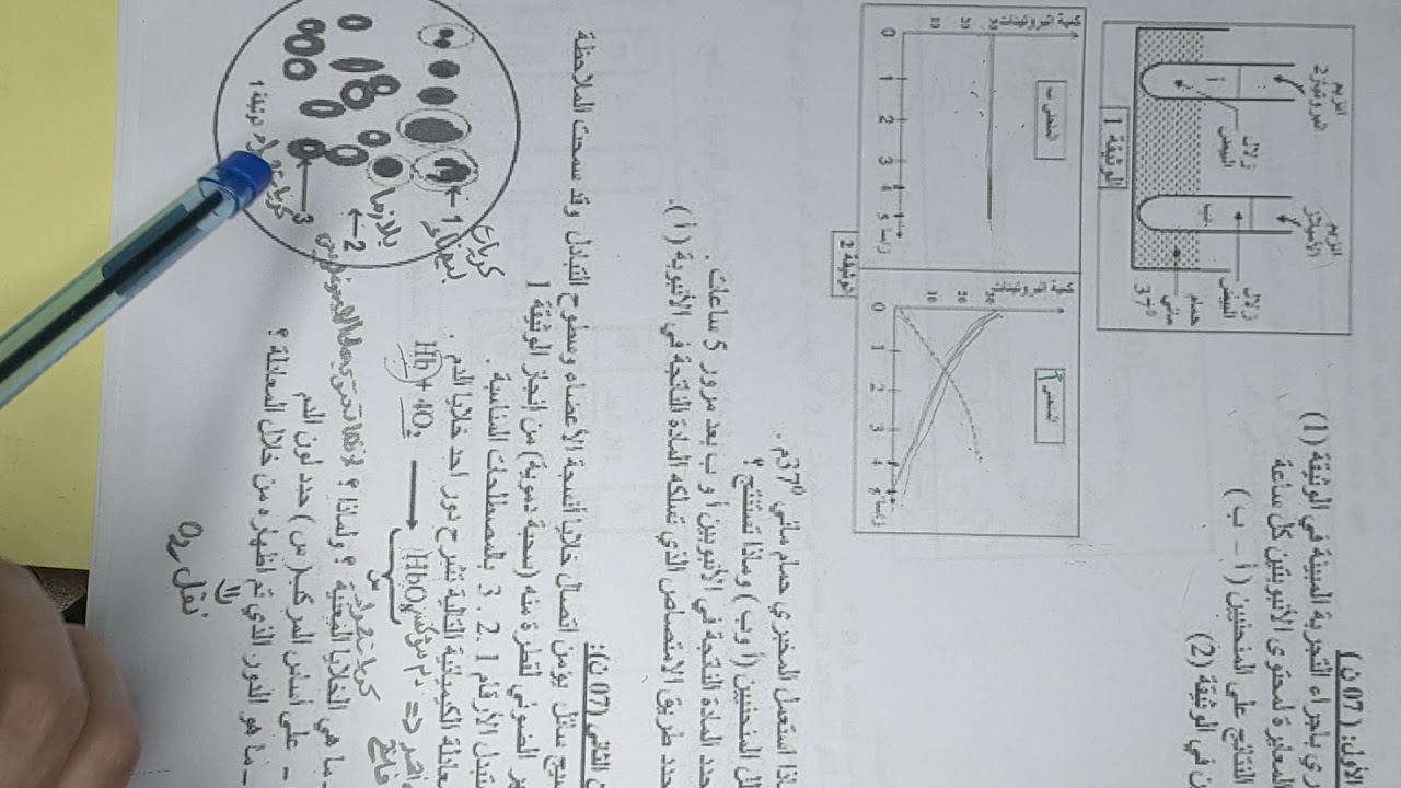 تمرين 2 حول الهضم عند الانسان سنة رابعة متوسط