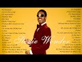 Stevie Wonder Greatest Hits - Best Songs Of Stevie Wonder - Stevie Wonder Collection 2022