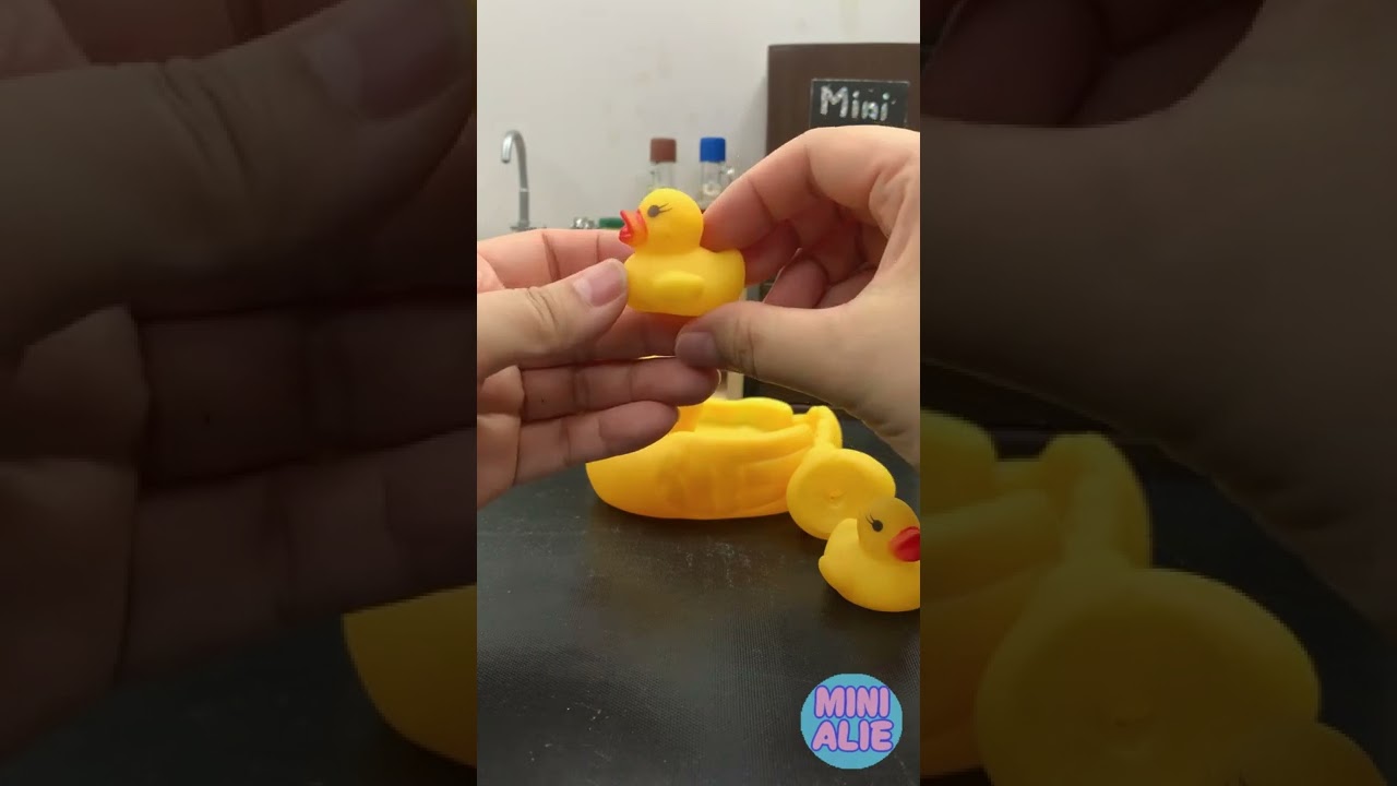 Unboxing Ducky Family, Rubber Ducks, Bath Toy 