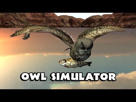 Owl Simulator - Android  Gameplay [HD]