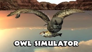 Owl Simulator - Android  Gameplay [HD] screenshot 5