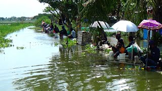 BEGINILAH SPOT LAMONGAN KALAU BANJIR IKAN MAS DARI AWAL SAYA MASUK SPOT SMP UJUNG DIPENUHI PEMANCING