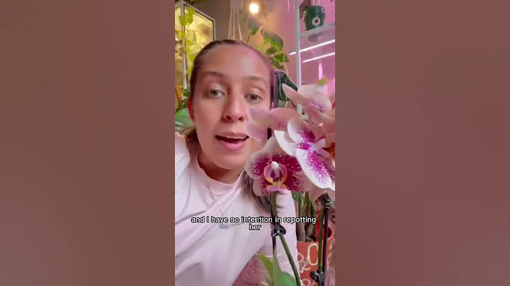 My advice to new plant parents #plantcare #plantparent #plantpeople #plants