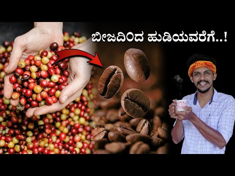 How coffee is made.. full process | Coffee Powder making process | Vidya