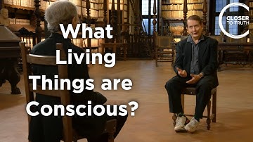 Etzel Cardeña - Welke levende wezens hebben een bewustzijn?