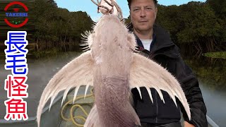 [生物放大鏡]全身長毛和帶有睫毛的傳說魚種"毛魚" | 打破科學家論點的真實毛魚 | 垃圾魚比你想像的還可怕