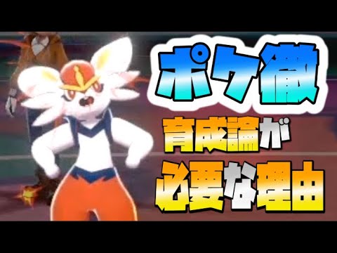 徹底 盾 攻略 剣 ポケモン