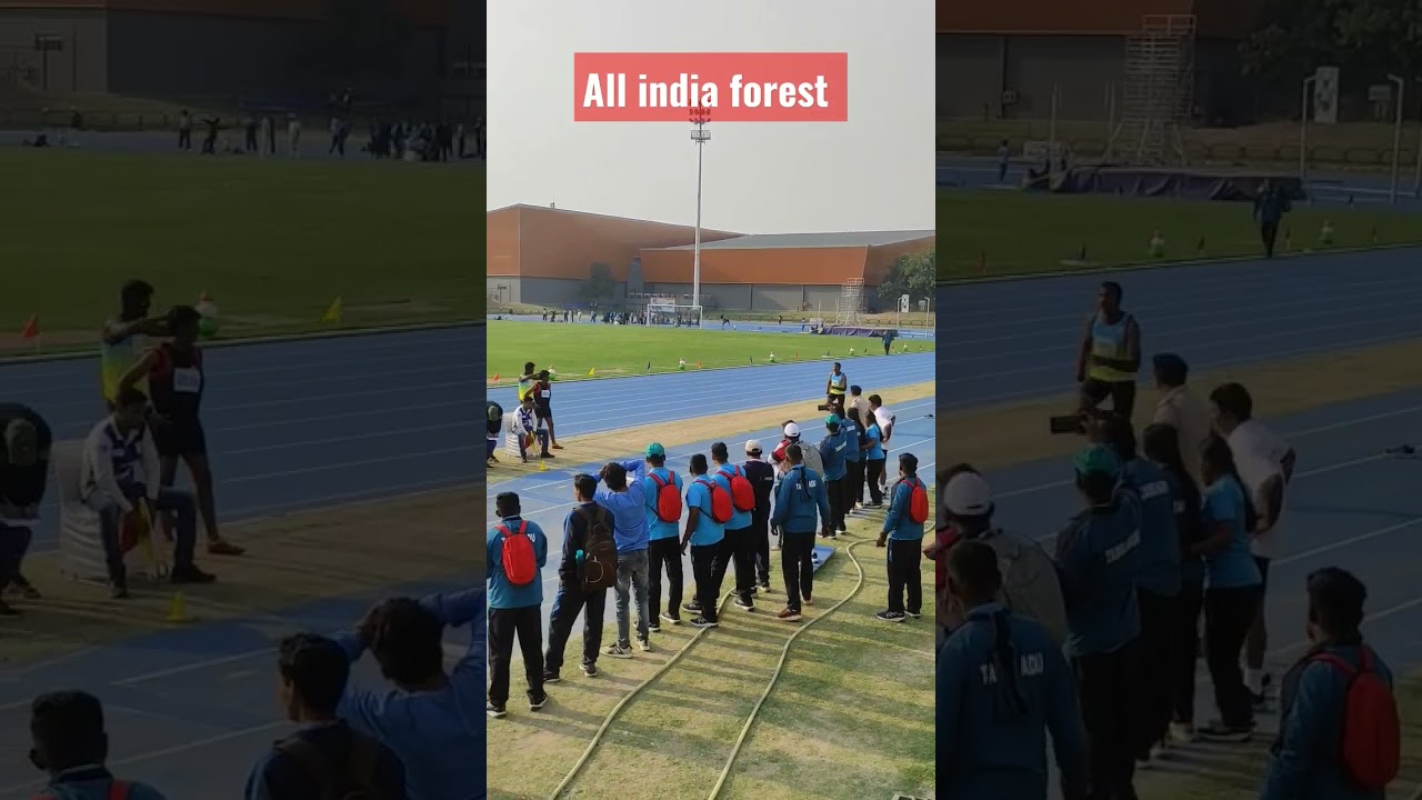 forest meet triple jump 