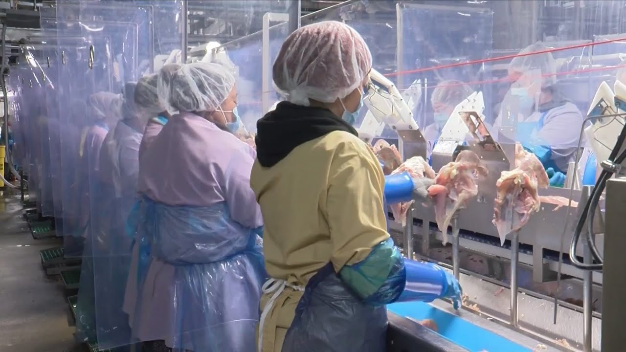 Concerns of Tyson employees