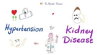 Hypertension & Kidney Disease | Renovascular Hypertension vs Hypertensive Nephropathy