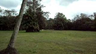 20100202_72.AVI