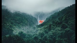 Snareskin - Mad For You (feat. Trove)