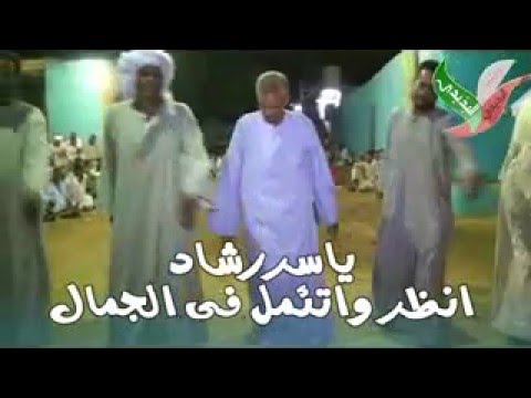 ياسر رشاد انظر و اتئمل فى الجمال
