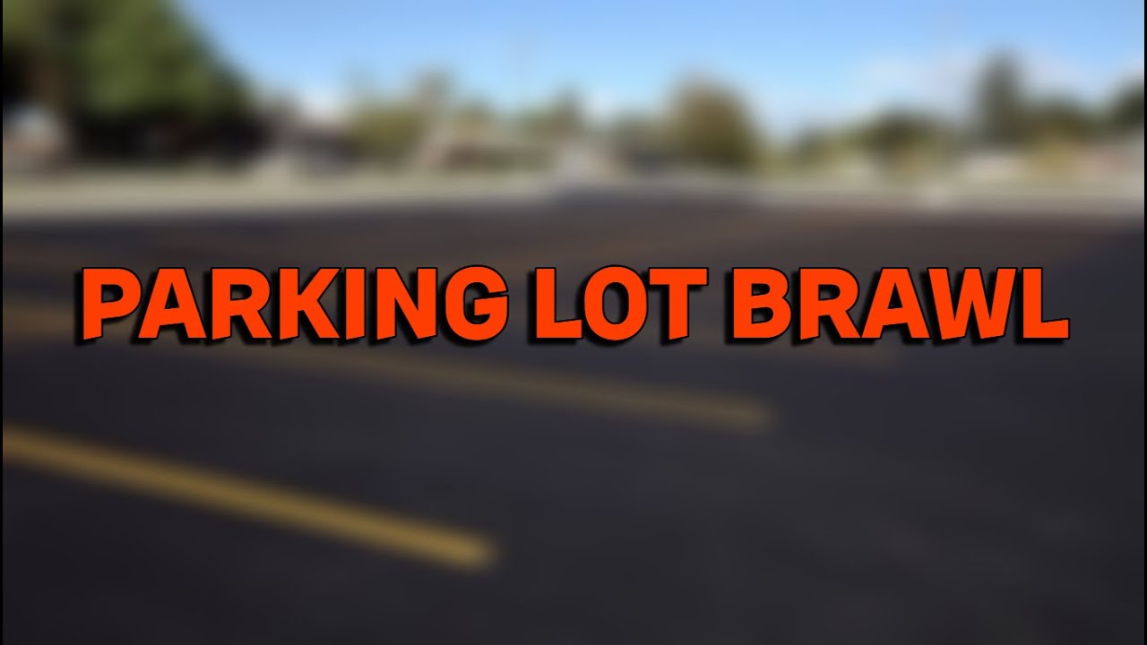 Parking Lot Showdown Turns Heated: Shocking Argument Escalates into ...