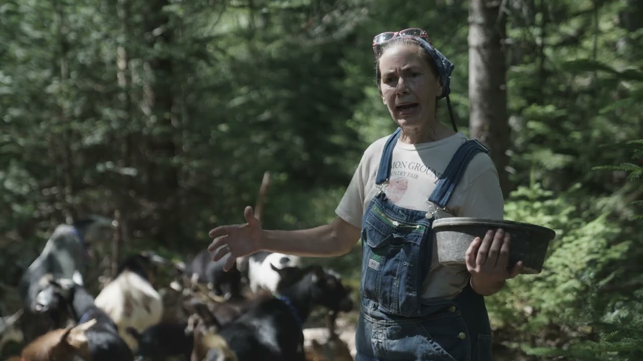 DAIRY GOATS IN THE WOODS (SILVOPASTURE SERIES EP 7)