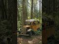 The Tree That Ate A School Bus! #urbex  #restoration