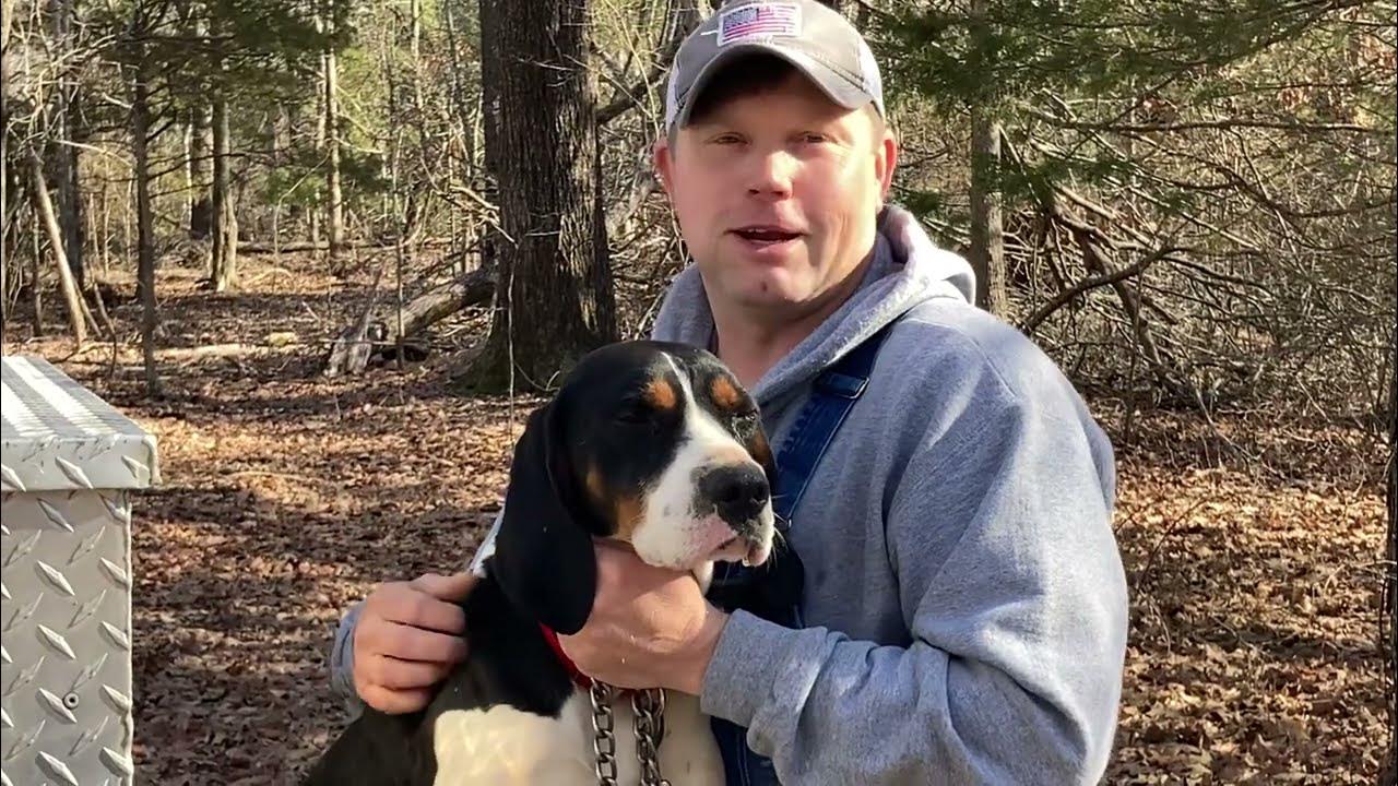 Coon Hunting UKC Winter Classic in Batesville, Mississippi with
