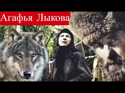 Видео: Волк пришёл к Агафье Лыковой. Неудачное замужество отшельницы за родственника в 1989 году