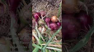 Espoma Organic Garden-Tone 3-4-4 Organic Fertilizer  🛒 shop on Amazon https://amzn.to/43lsfz2