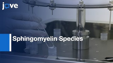 LC-MS Using Two Stable Isotopically Labeled Sphingomyelin Species | Protocol Preview