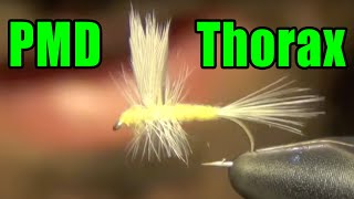 Pmd Thorax Dry Fly Tying Instructions And How To Tie Tutorial