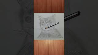How to Draw a Kitten: Narrated Step by Step#shorts