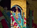जय श्री सॉवरिया सेठ 🥰🙏🏻..#sanwariya #seth #mandfiya #naresh #exploretrendingréels instadaily