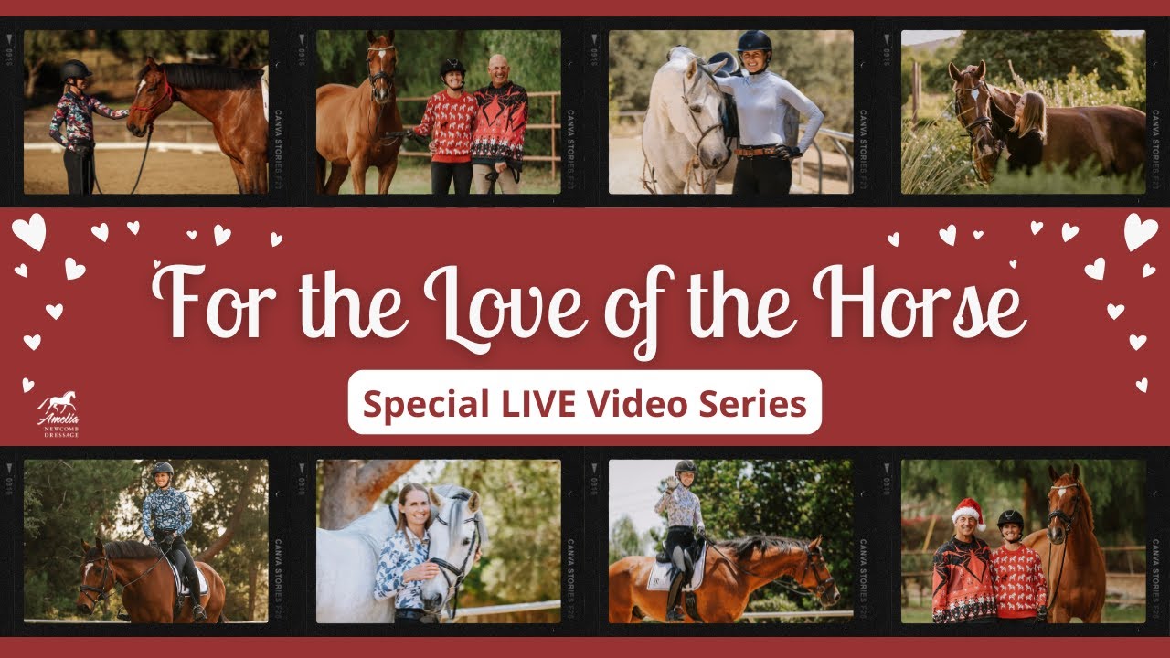 For the Love of the Horse - Training from the Heart, Feb 15th, 10am PT