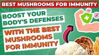 Boost Your Bodys Defenses With The Best Mushrooms For Immunity