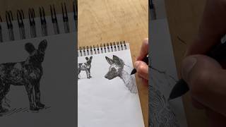 Ballpoint pen crosshatching study