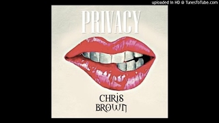 Details Chris Brown - Privacy (New Snippet) Guide