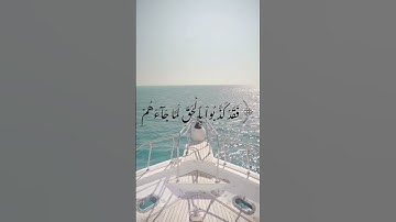 سورة الأنعام - د/عادل أحمد زكي