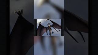 Epic Dragon Battle: Fantasy Adventure