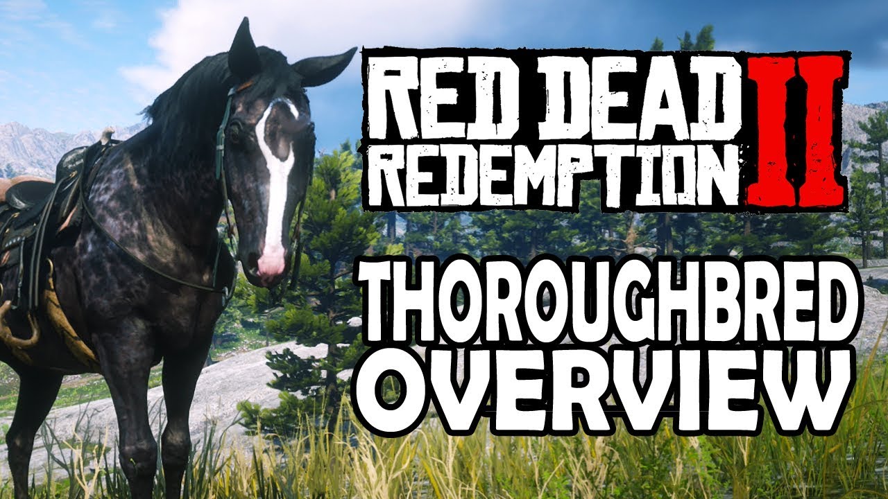 Thoroughbred Overview Red Dead Redemption 2 Horses YouTube