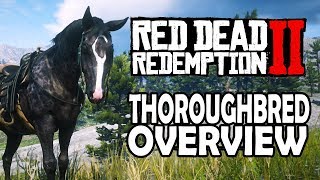 Thoroughbred Overview | Red Dead Redemption 2 Horses