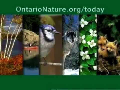 environmental tech Urban sprawl and the greener way forward
