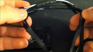 Maximus Lizard Thoughts