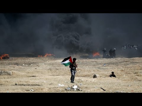Video: Բարշեբան Պաղեստինո՞ւմ է: