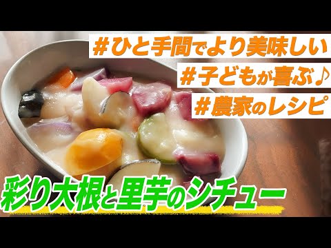 【農家のレシピ×シチュー】彩り大根と里芋のシチュー 〜農家のレシピ〜