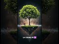 ¿Te gustaría vivir en un estado de calma?
