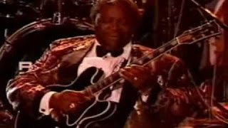 Famous BB King, Albert Collins, Bo Diddley & Robert Cray - Sevilla EXPO 92 Net Worth
