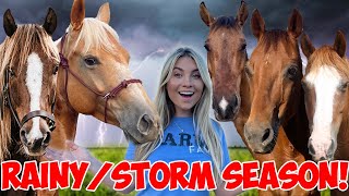 How to Prepare Horses For RAINY/SUMMER SEASON!