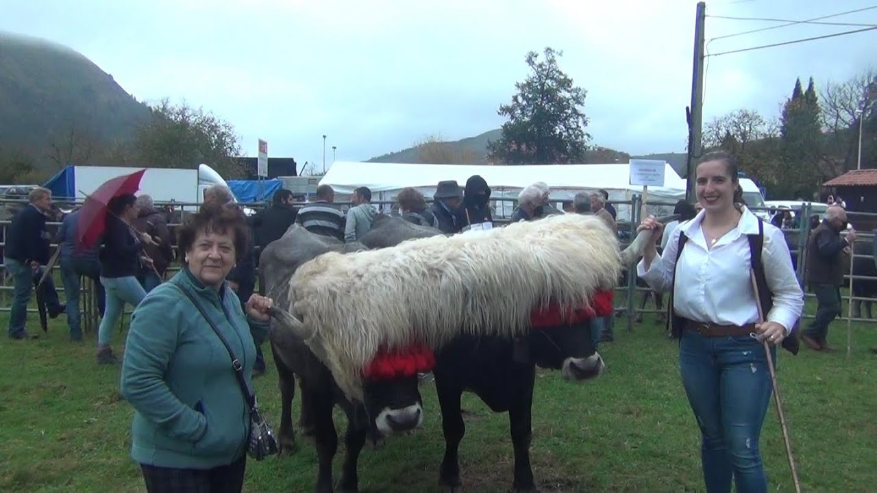 Feria de Ruente 31 10 2021