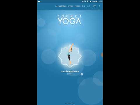 Pocket Yoga Review