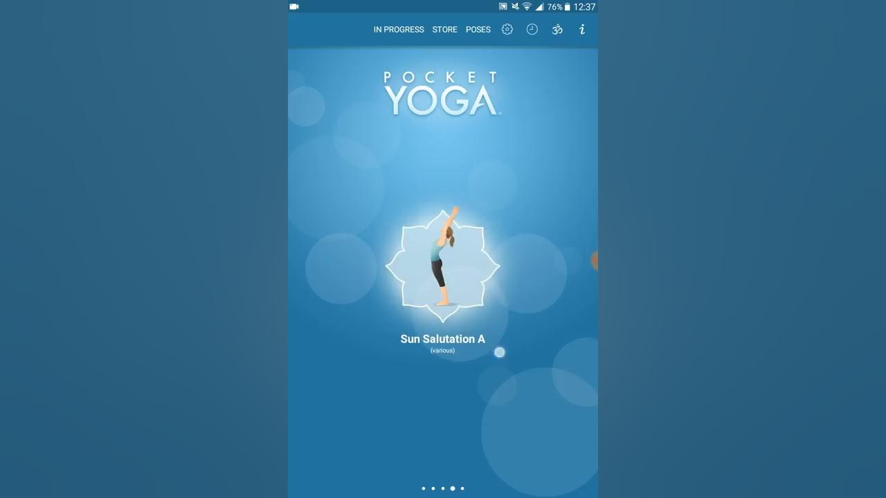 Pocket Yoga Review 