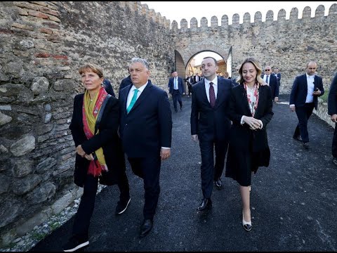 რა მიზანს ემსახურებოდა და  რა სარგებელი მოუტანა ორბანის ვიზიტმა საქართველოს