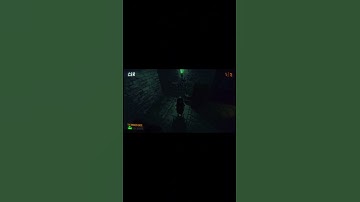 NOT A DUCK! #R.E.P.O. #REPO #gaming #gamer #ps #playstation #videogames #game #games #xbox #twitch